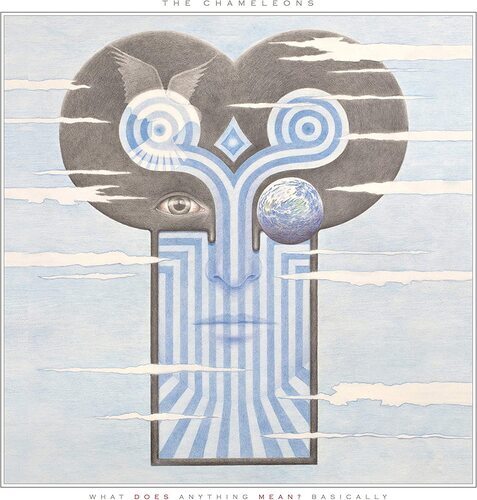The chameleons what does - the, :