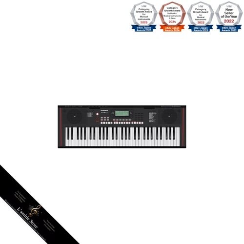 Roland x10 electronic - roland, e-x10