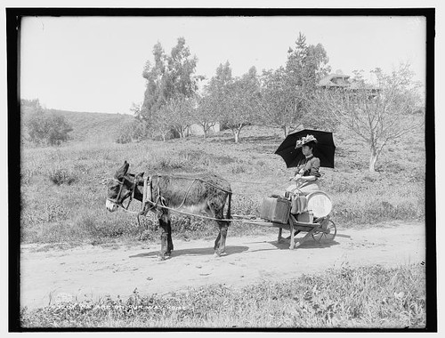 Photo south pasadena - photo:south,