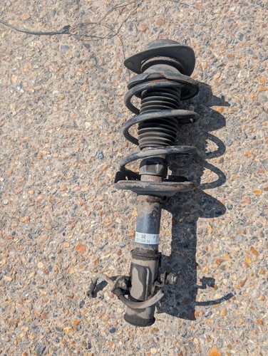 Subaru forester strut shock - subaru,