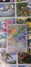 Charizard VSTAR - 174/172 Brilliant Stars - Secret Rainbow Rare with Mag Case