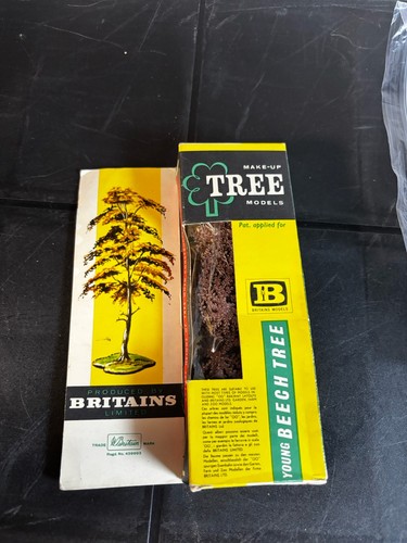 Britains young birch tree - britains,