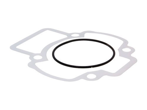 Polini evo gasket - evo,