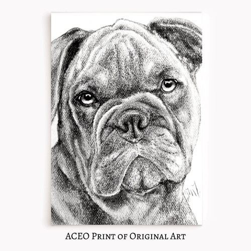 Aceo print original art - aceo,
