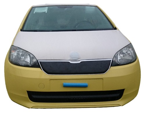 Front grill winter - front, for