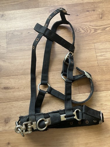 Shires black synthetic - , lunging