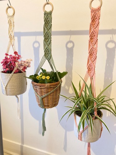 Macrame ceiling plant hanger - plant,