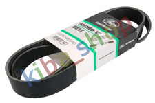 MULTI-V-BELT 10PK1465 FITS RVI