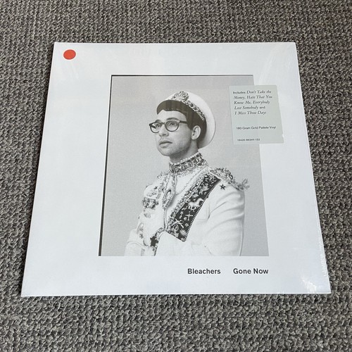 Bleachers gone now vinyl - bleachers,
