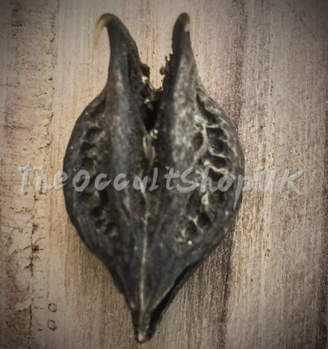 Devil claw bat head talisman - devil,