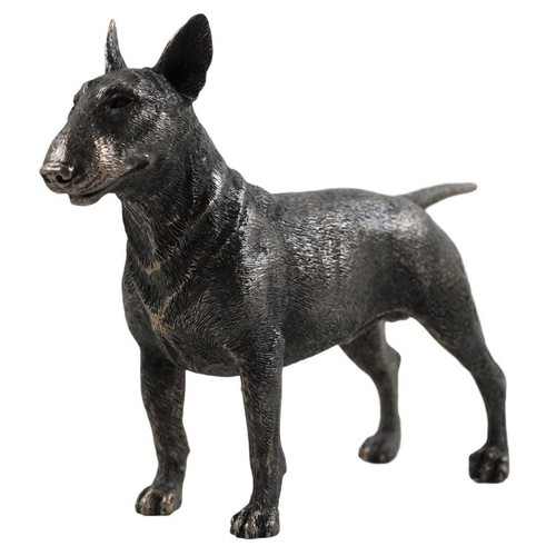 Bull terrier dog - dog, in