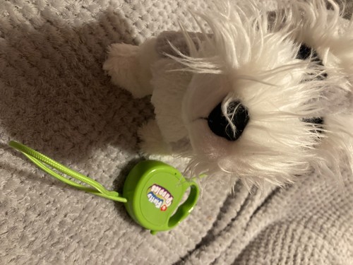 Kids walking dog - dog, toy