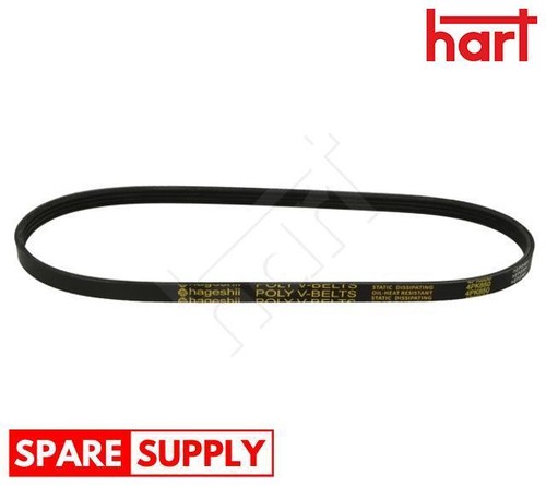 Ribbed belt for hyundai - belt,