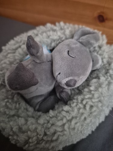 Jellycat hibernating mouse - jellycat,