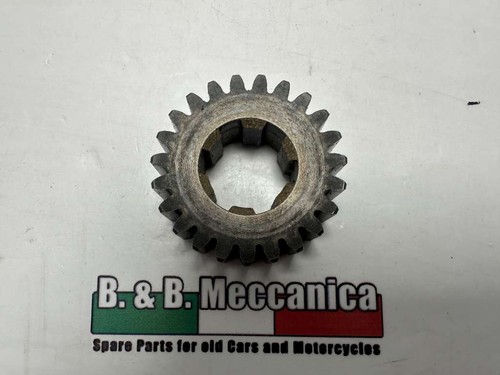 Gear wheel freewheel - gear,