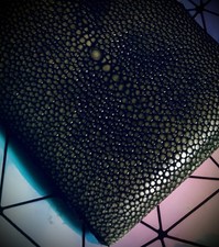 Stingray Leather Stingray