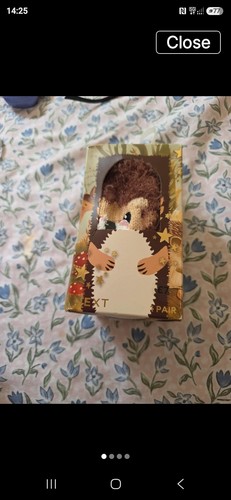 Ladies cozy hedgehog socks - cozy,