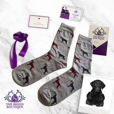 CURLY COATED RETRIEVER DOG