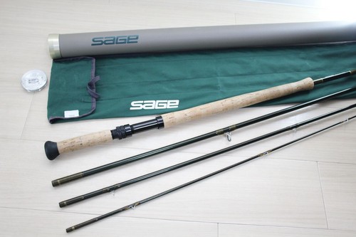Sage 10151 graphite - graphite, 15'1"