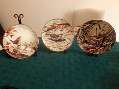 Wedgewood rspb centenary - wedgewood,