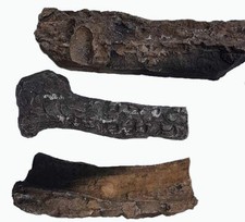 Gas Coal Fire Logs Living