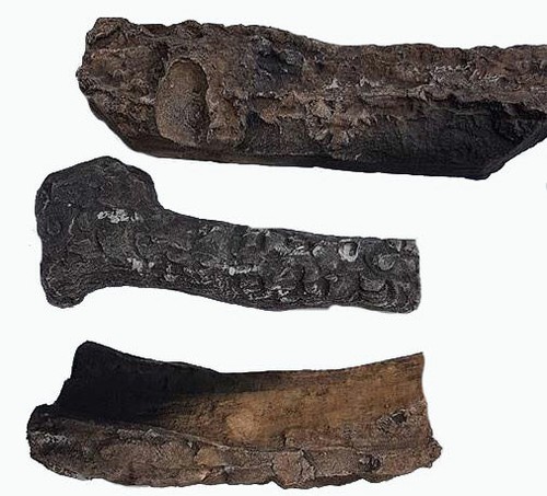 Gas coal fire logs - coal,