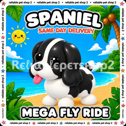 Mfr black springer - springer, ✨