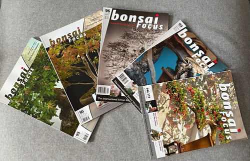 Bonsai focus magazine issue - bonsai,