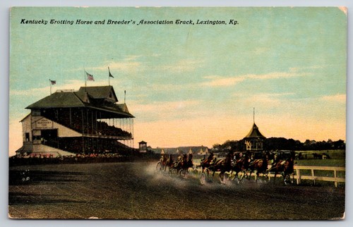 Lexington kentucky horse - lexington,