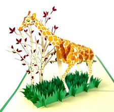 Handmade 3D Pop Up Card