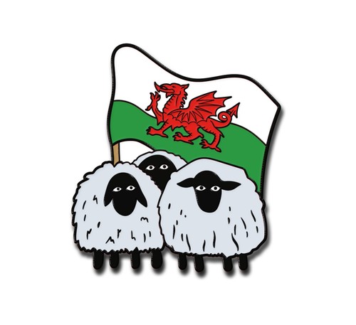 Enamel pin welsh flag - welsh,