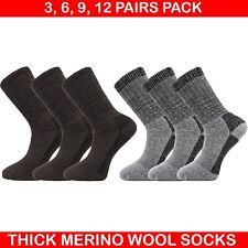 12 Pairs Men's Merino Wool