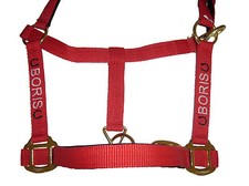 Personalised Embroidered Headcollars with Horse Shoe Motifs All Sizes From £9.90