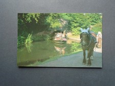 A TRADITIONAL CANAL HORSE WITH