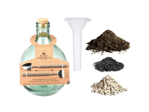 Closed bottle terrarium - closed,