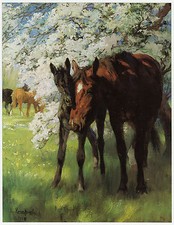 Promise of Spring, Lucy Kemp Welch 11 x 14 inch ready mounted horse print SUPERB