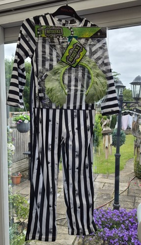 Beetlejuice fancy dress - beetlejuice, outfit