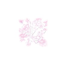 Various Artists Mille