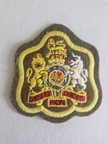 Wo1 rsm rank badge new - rank,