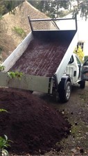 Well rotted horse manure - rotted,