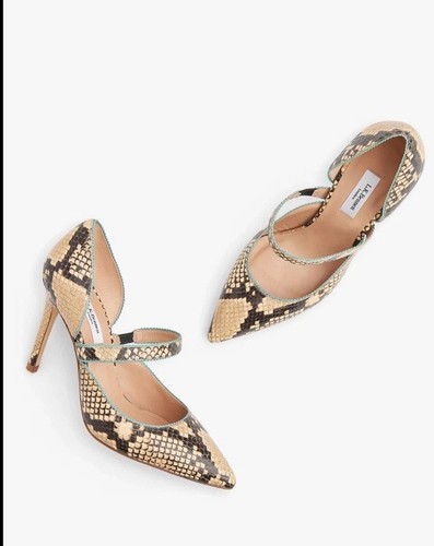 Bennett florence snake - florence,