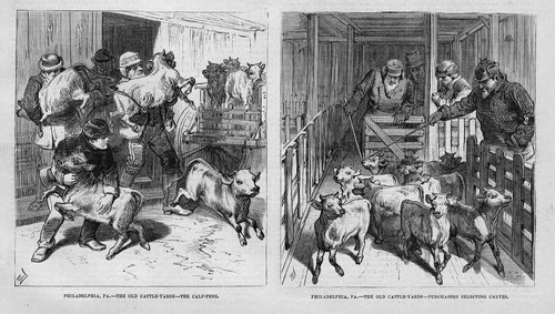 Stockyard philadelphia - stockyard, at