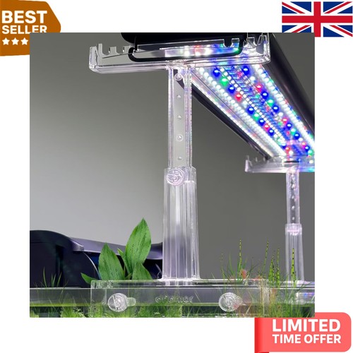 Elegant adjustable light - adjustable,