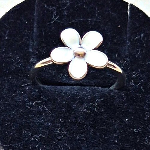 Pandora 925 silver and - 925, enamel