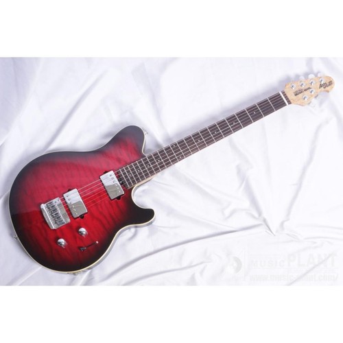 Ernie ball music man - ernie,