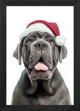 Neapolitan Mastiff Dog with Santa H Framed Wall Art Poster Canvas Print Picture