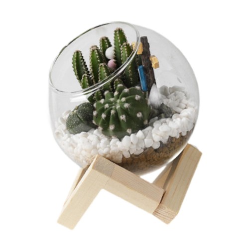 Glass plant pot - glass,