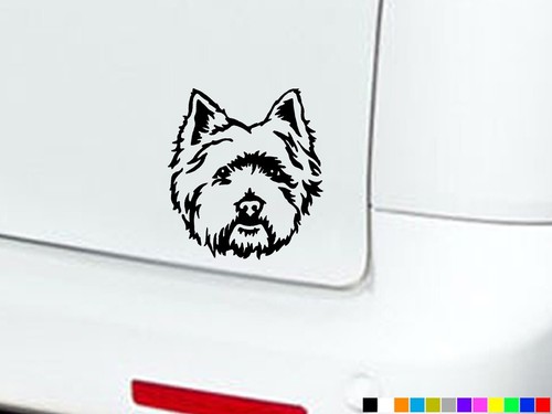 Westie west highland terrier - westie,