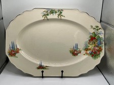 VINTAGE  MYOTT HAND PAINTED