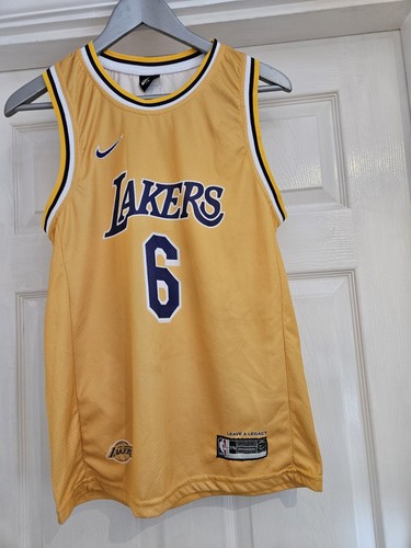 Nike lakers lebron james 6 - la,
